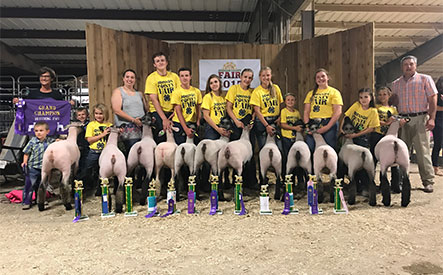 Winners