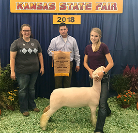 Harrison Show Lambs Winners