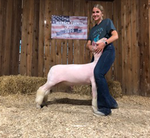 Harrison Show Lambs Winners