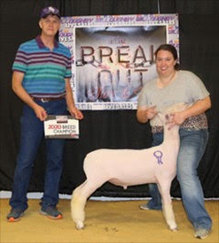 Harrison Show Lambs