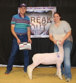 Harrison Show Lambs Winners