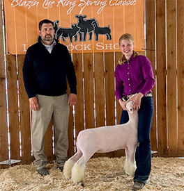 Harrison Show Lambs Winners