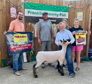 Harrison Show Lambs Winners