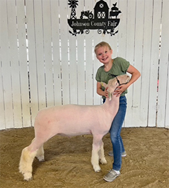 Harrison Show Lambs Winners