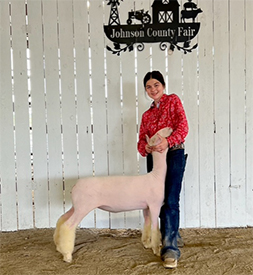 Harrison Show Lambs Winners