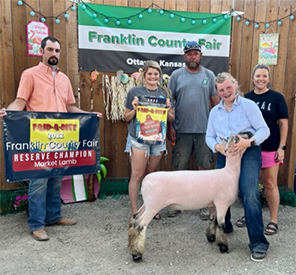 Harrison Show Lambs Winners