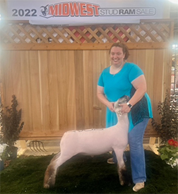 Harrison Show Lambs Winners